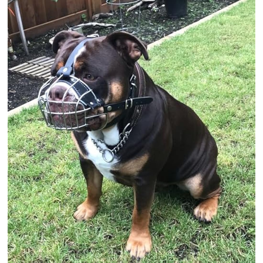 Strong Metal Wire Basket Dog Muzzle for American Bully (BA, Black leather/Black wire)