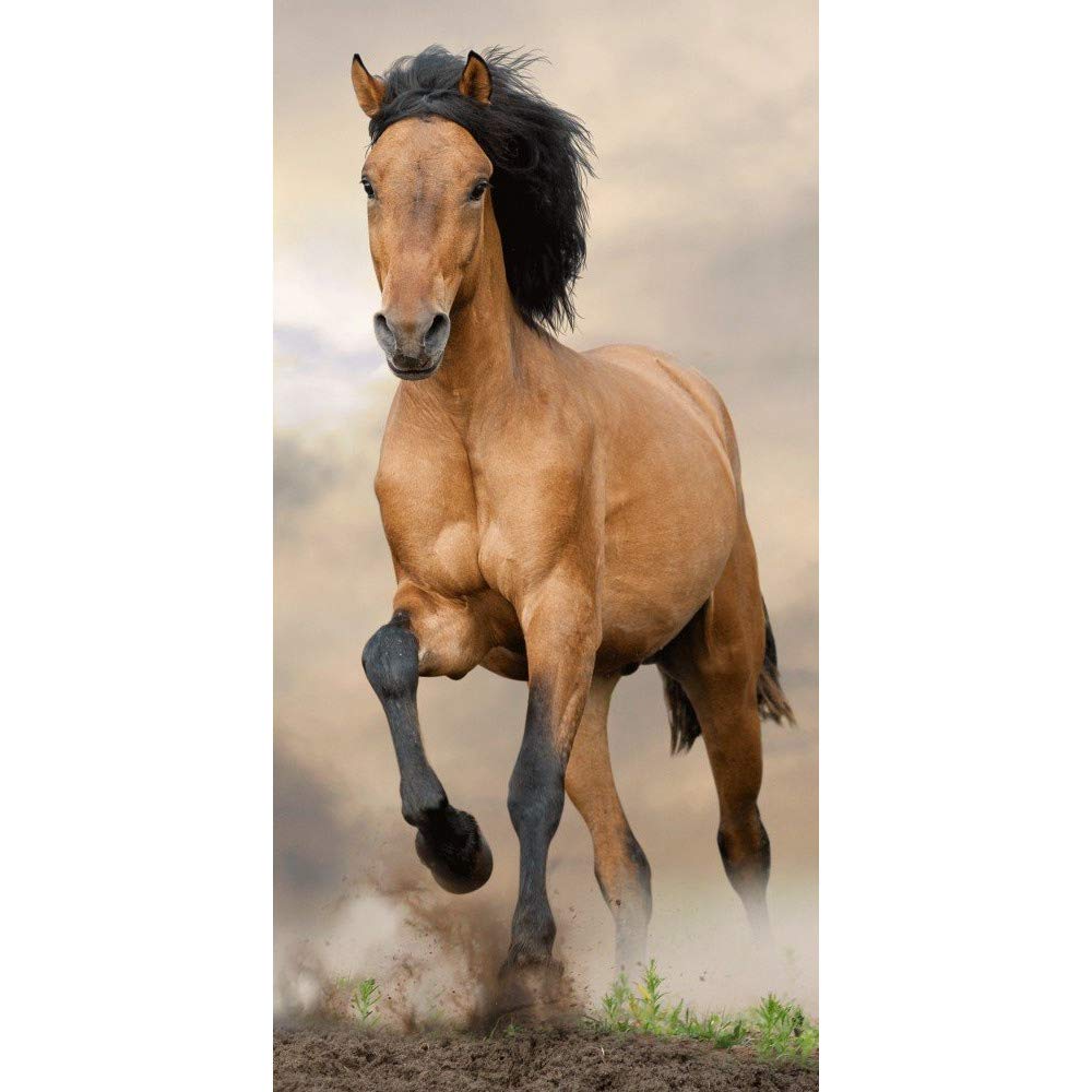 Jerry Fabrics Horse Beach Towel Brown, Bath Towel, Beach Towel, Horse Motif, Stallion, 70 cm x 140 cm, 100% Cotton