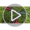 Kimura® Pro Heavy Duty Garden Shears - Premium Hedge Shears with Patented Gearing Technology, Ultra Lightweight Aluminium Handles, Japanese SK5 Steel Blades, Ideal Shears for Gardening - 560mm