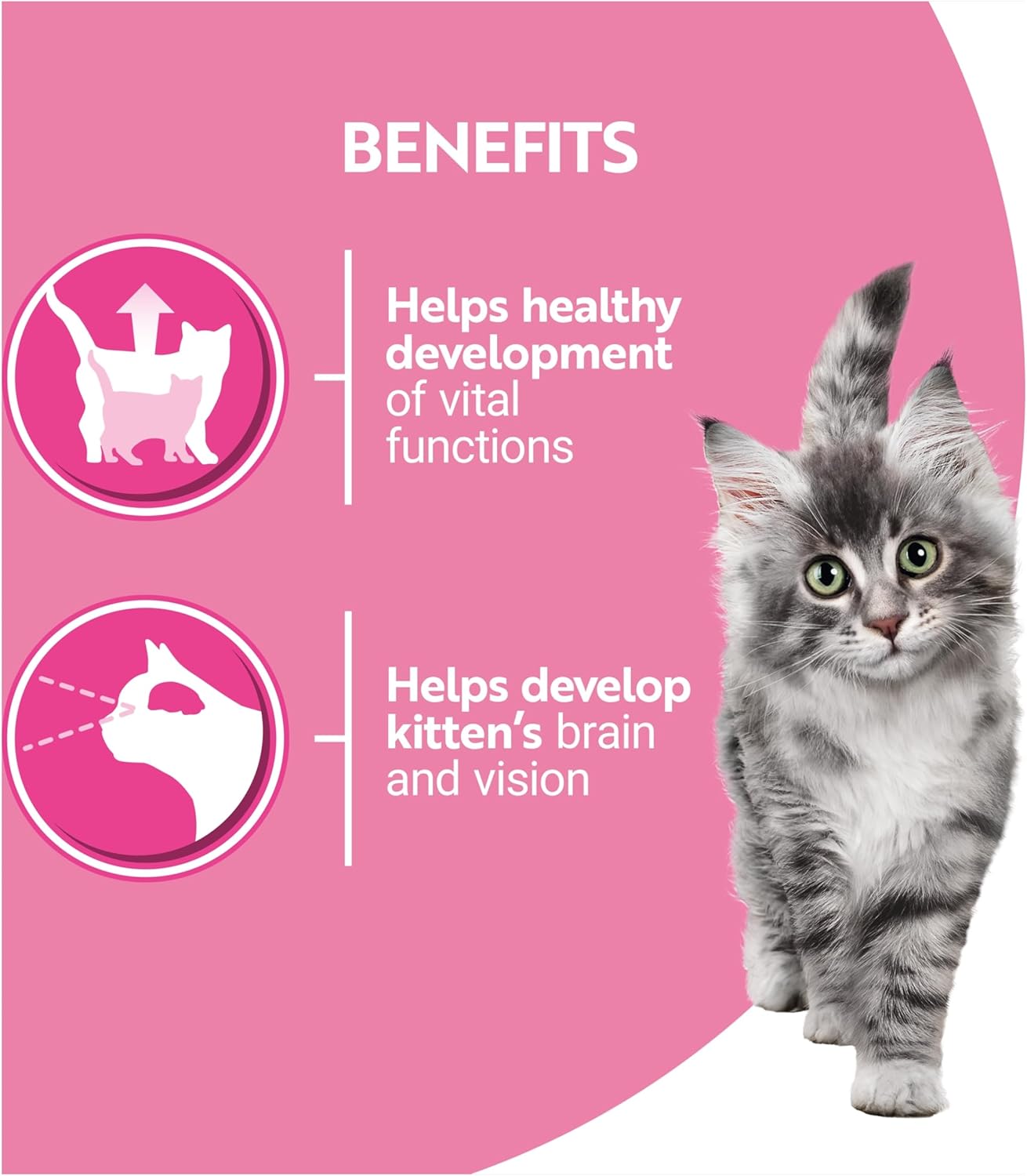 Kitten Mini Fillets Salmon and Chicken Wet Cat Food 8x85g (Pack of 5)