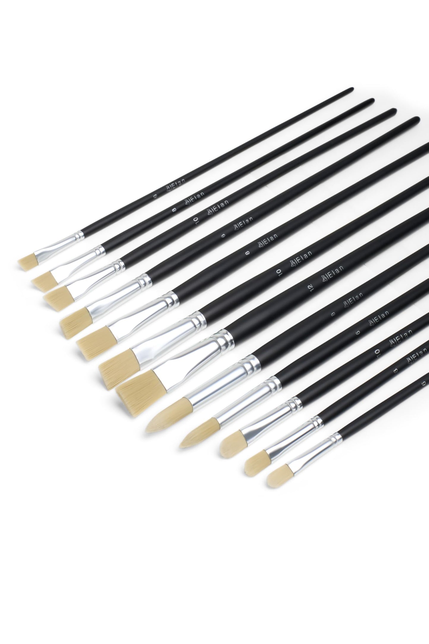 Elan Premium Paint Brush Set, 12 PCS Long Handle Synthetic Hog Brushes with Angled, Filbert, Flat, and Round Paintbrushes for Oil Painting