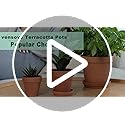 vensovo 15cm Clay Pot for Plant with Saucer - 4 Pack Large Terra Cotta Plant Pots with Drainage Hole, Flowerpot with Tray, Terracotta Planter for Indoor Outdoor Plant