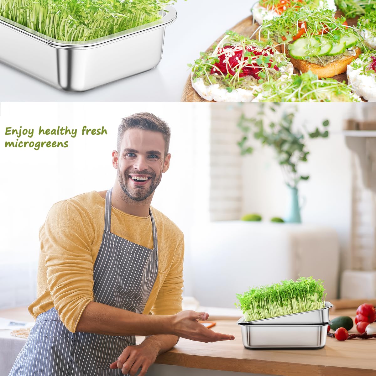 FANHAO 2-Pack Sprouting Tray Kit, Stainless Steel Soil-Free Cultivation Germination Tray, Healthy Wheatgrass Grower Sprouting Container Kit Nursery