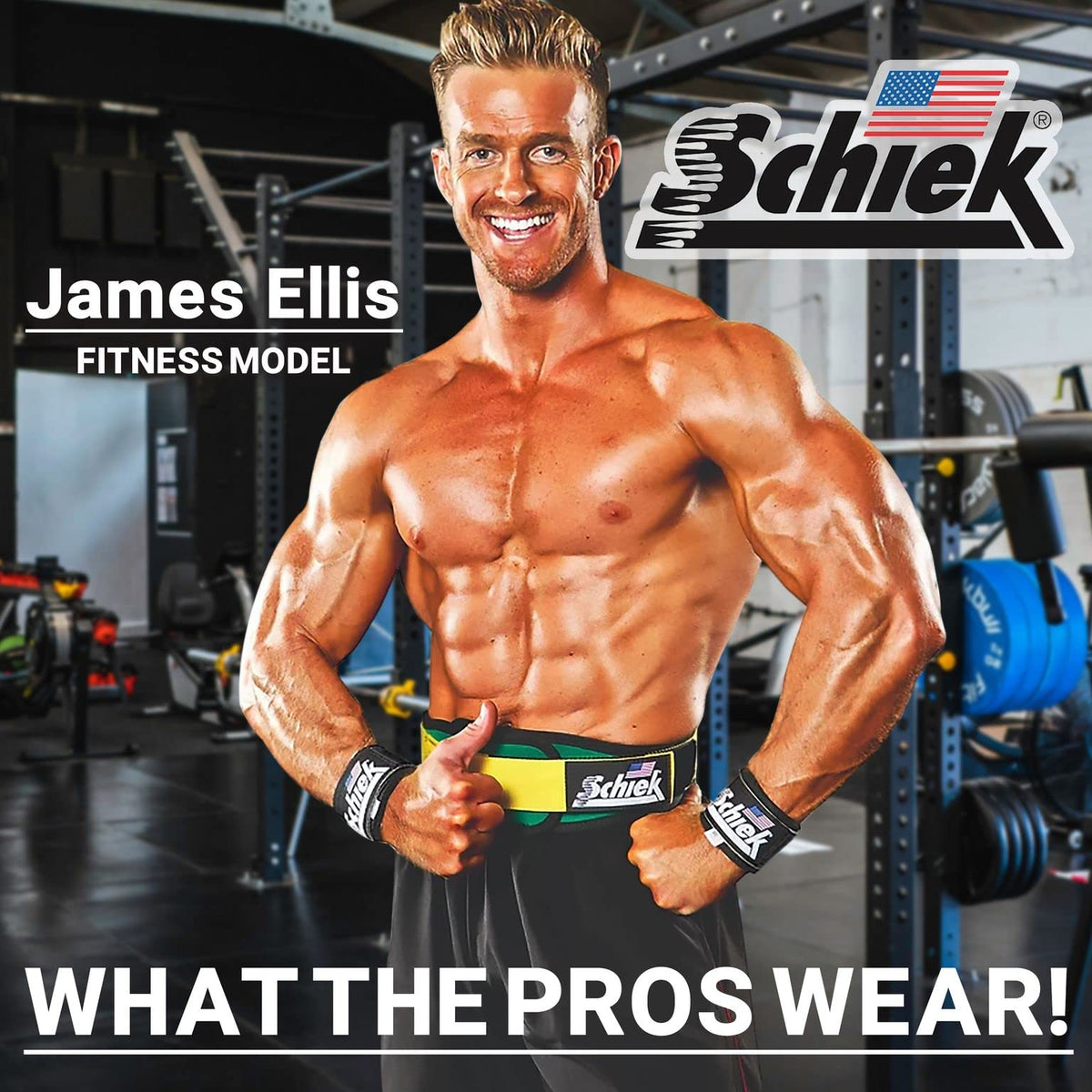 Schiek Dowel lifting straps