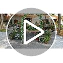 SCENDOR Rose Arch Garden Arbour, 87"H x 45"W Iron Curved Garden Archway, Romantic Garden Trellis for Climbing Plants, Jasmine Wedding Ceremony Arches