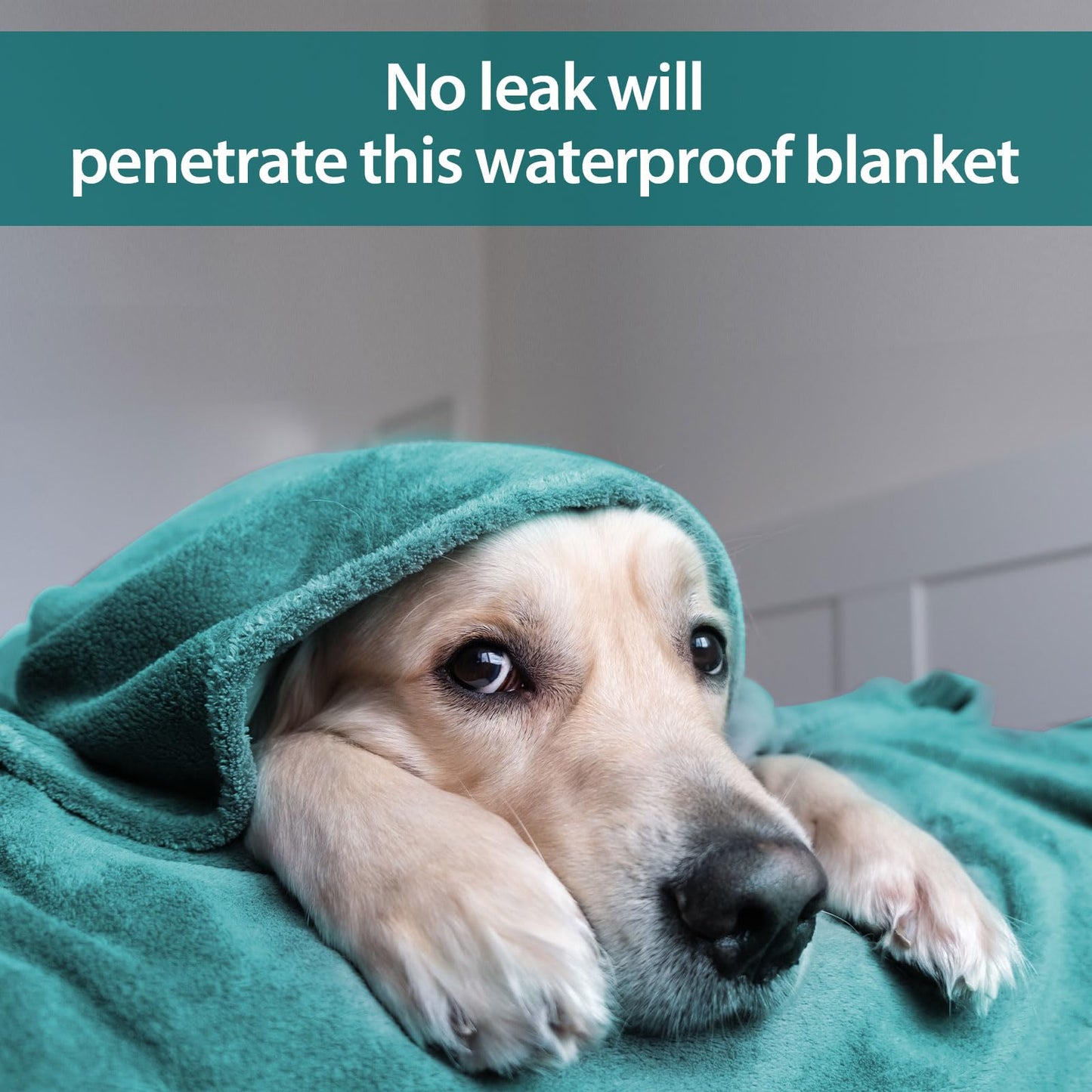 YISURE Waterproof Blanket for Adults, Waterproof Splash Love Blanket for Bed Intimacy Double, King Size 90"x80" (Green)