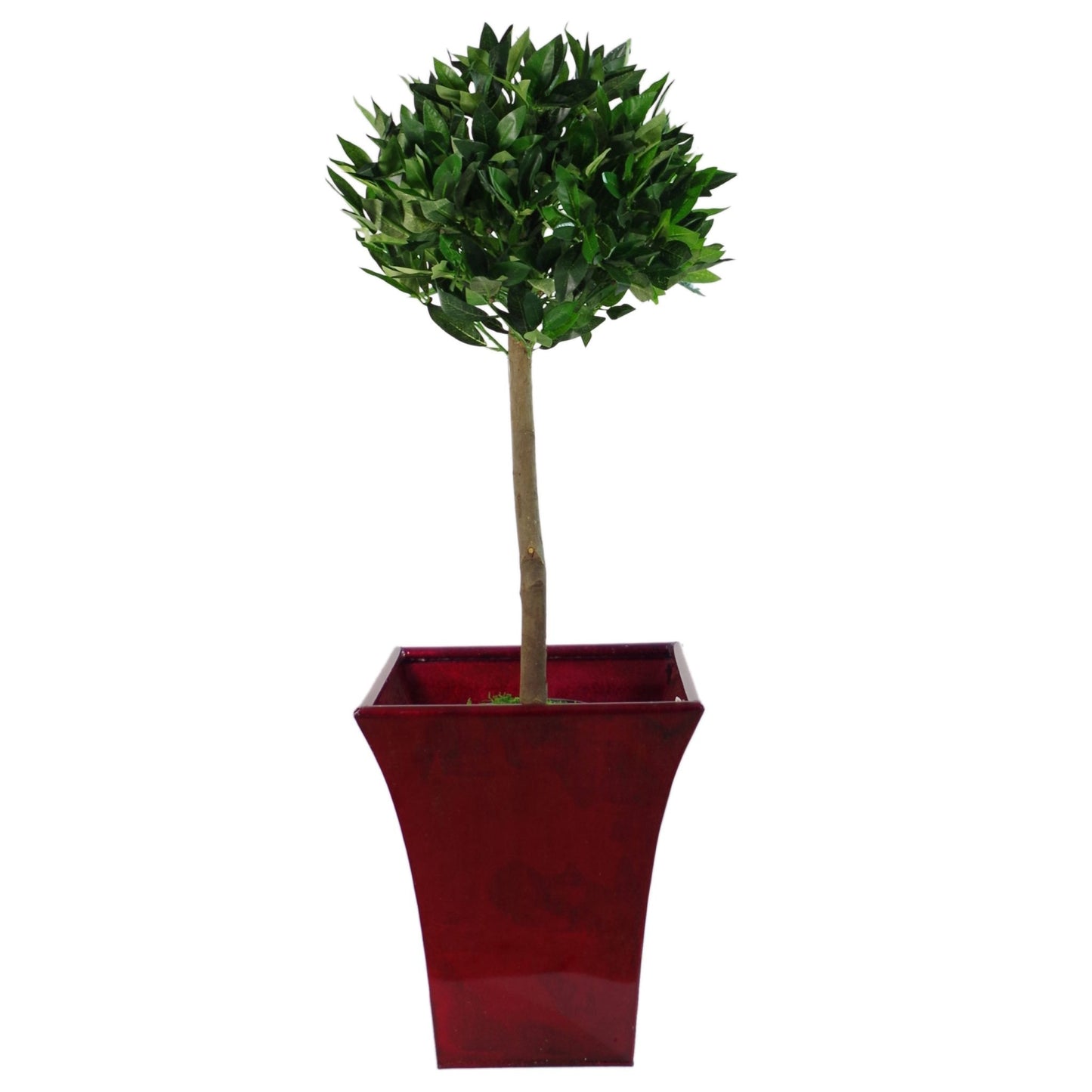 Leaf Design UK Artificial Bay Laurel Topiary Ball Tree, Green, 120cm (4ft)