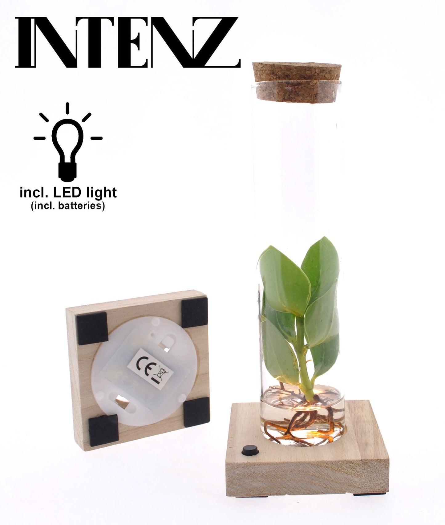 Opm Intenz Clusia Glas Tube + Led