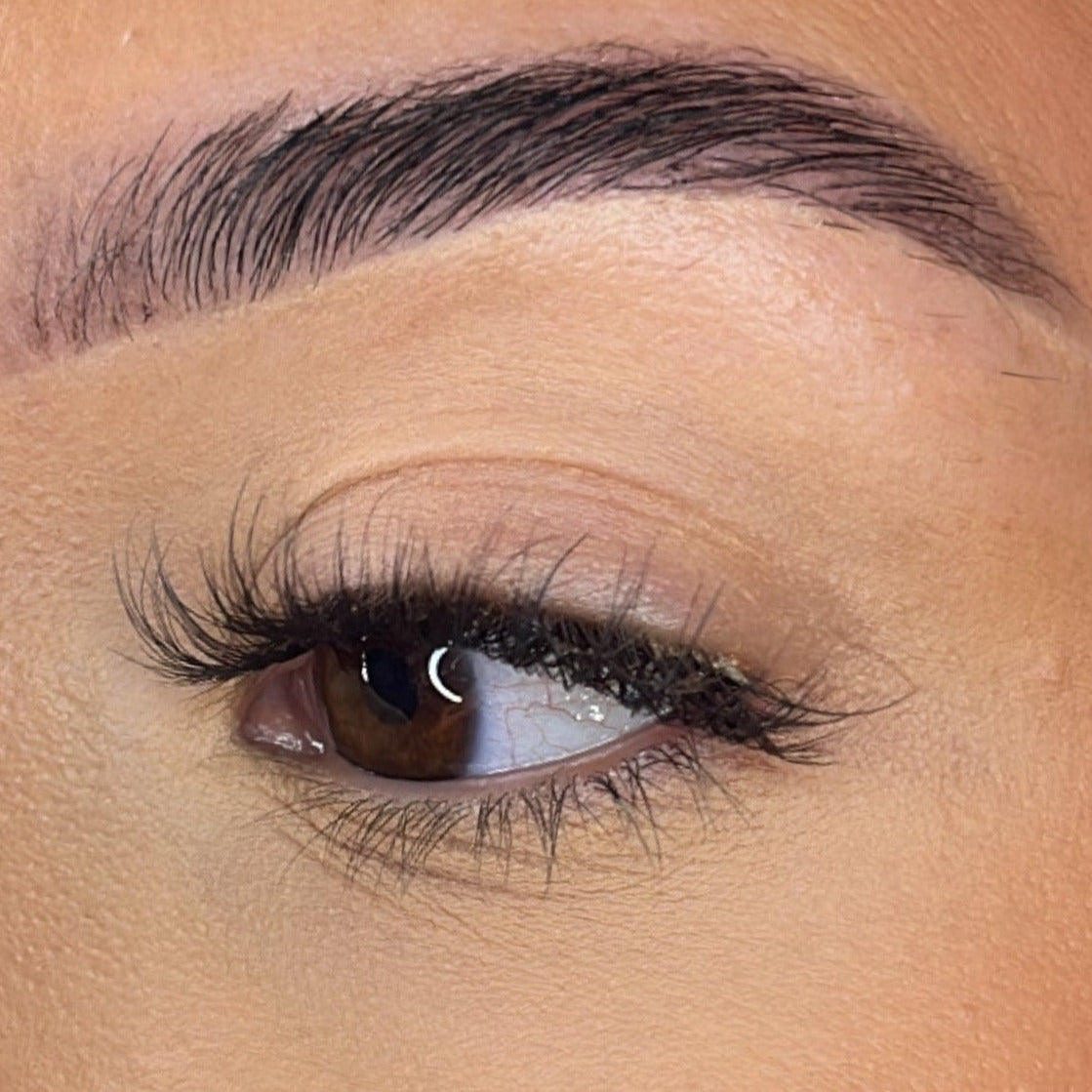 Preglued Lash Clusters - Faff Lash - Ava