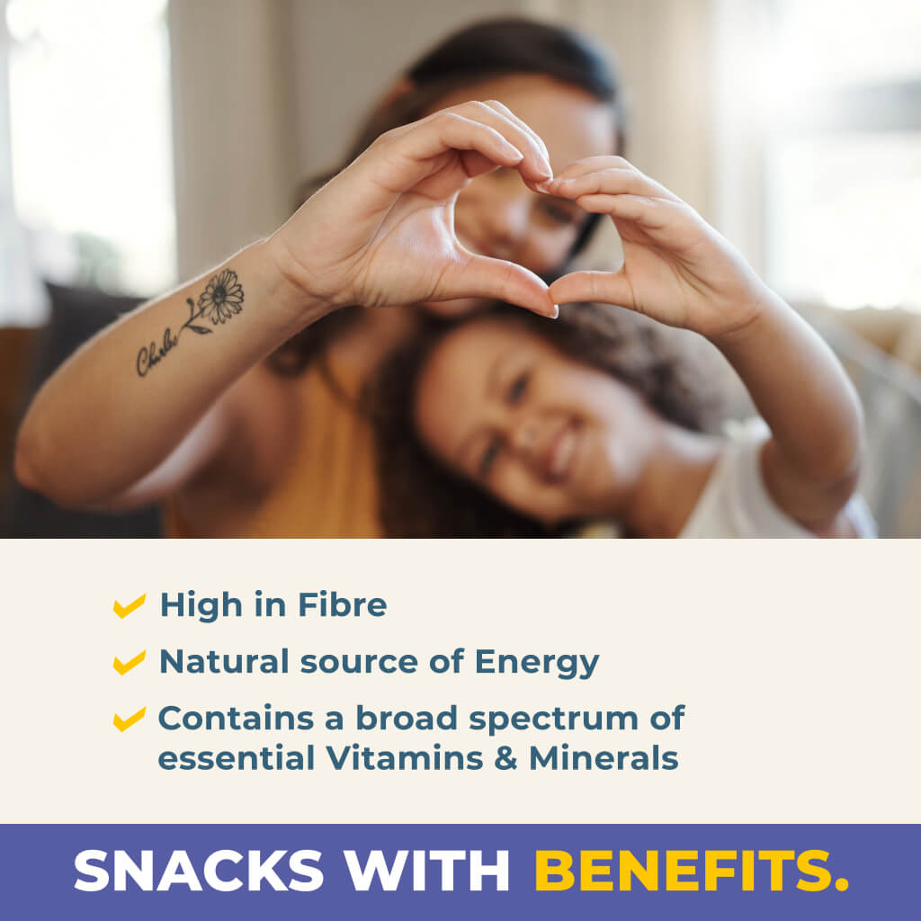 Organic Gently Dried Mango Slices