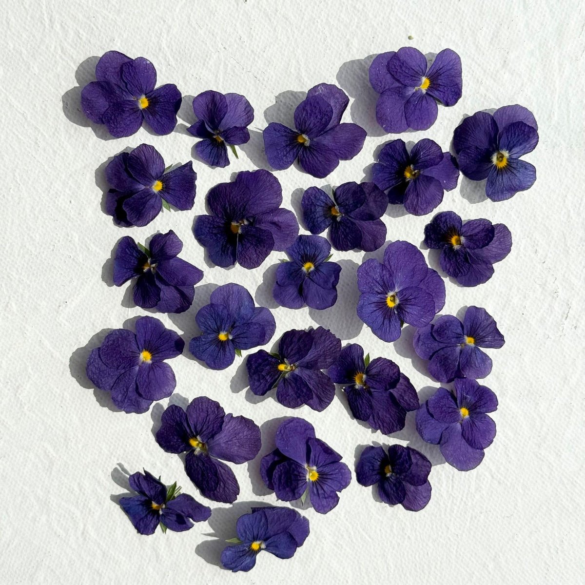 Edible Flowers - Freeze Dried Purple Violas ? 40 Heads - UK Product ? Certified Food Grade (526)