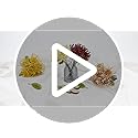 Briful 6 PCS Artificial Chrysanthemum Flowers Yellow Artificial Flowers Spider Mum Fake Flowers Pick Artificial Spider Mum Flowers for Floral Arrangment Wedding Bouquet Home Bathroom Decor
