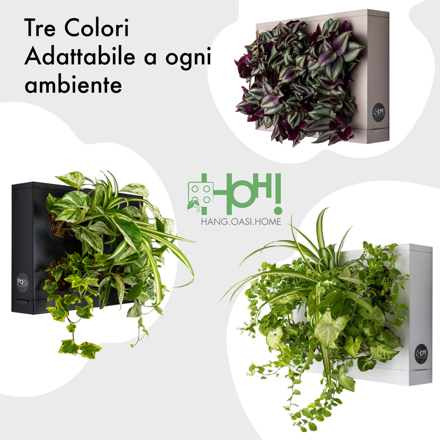 Ortisgreen HOH, Indoor and Outdoor Wall Mount Hanging Multi Plant Pot In White (ABS Plastic) with Natural Substrate and Instruction Included, Hanging