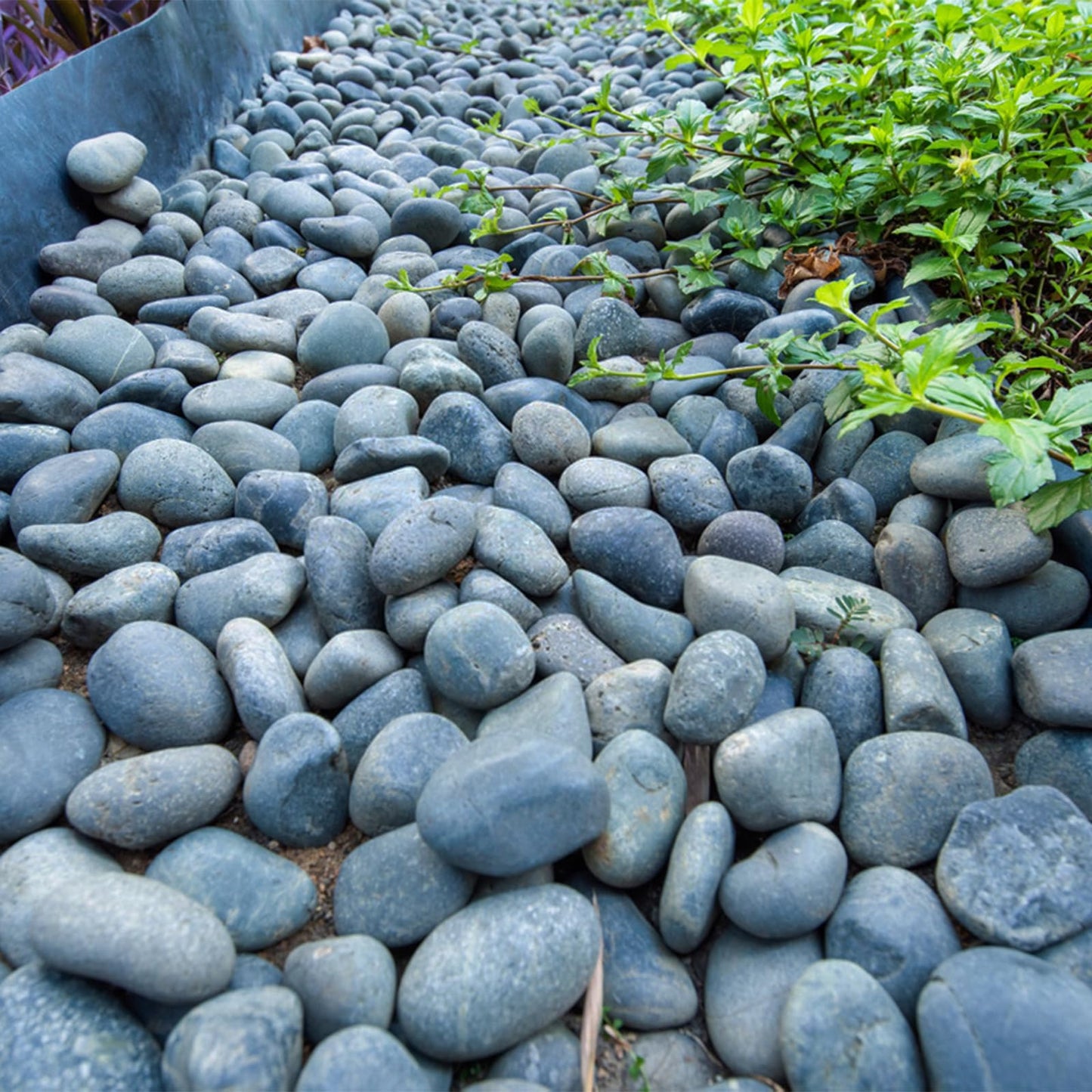 FANTIAN 20 lbs Black Stones for Garden,4-6 cm Large Natural Beach Cobbles. Decorative Black Pebbles for Plant Pots, Ponds, Water Features, Aquarium,