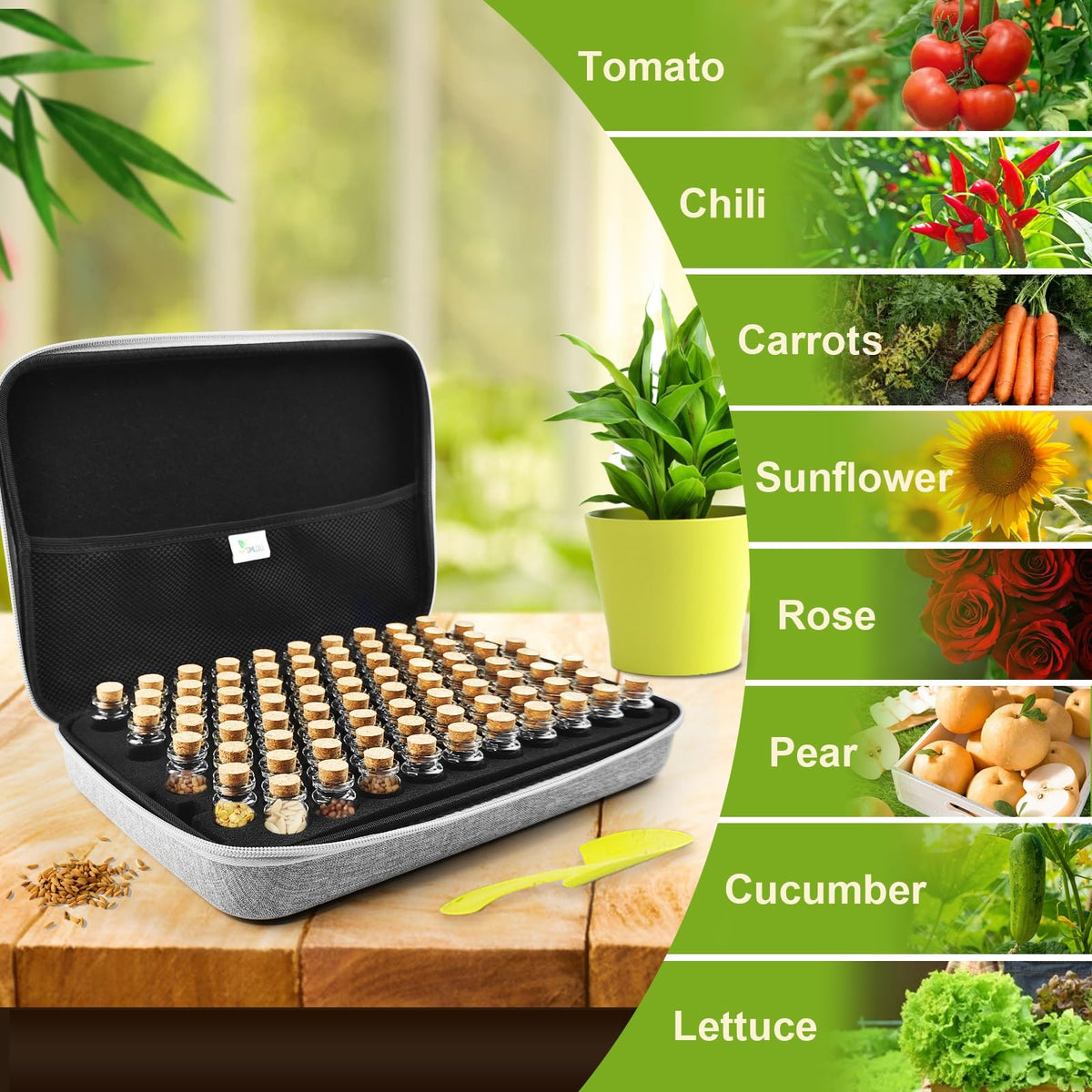 ?80 Slots?Seed Storage Box, Sturdy Seed Storage with Labels Stickers and Glass Seed Storage Container, Seed Organiser, Seed Storage Box Organiser for