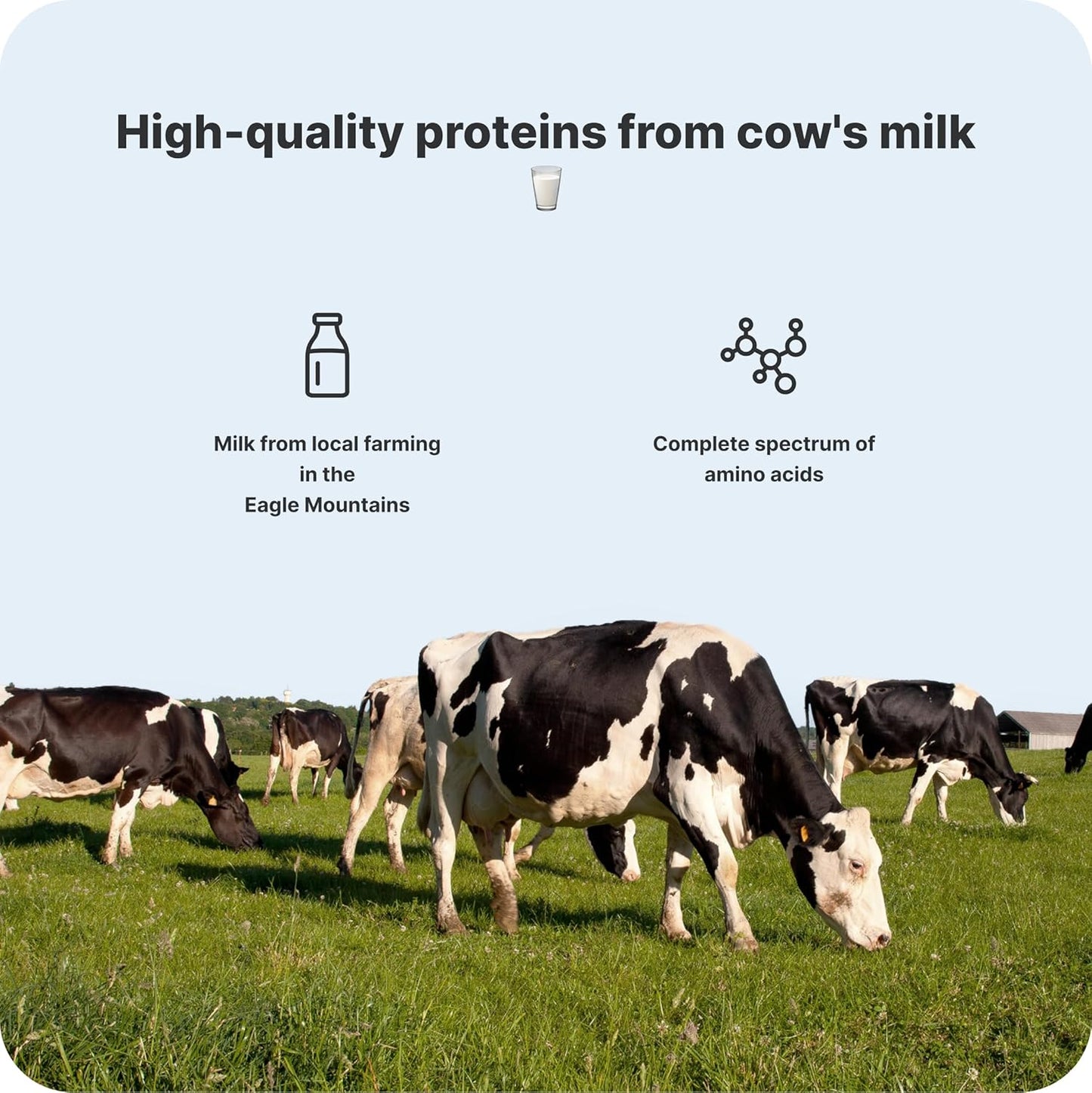 Protein Milkshake, 33g protein per serving, Low lactose, milk protein shake (12x330ml) (12x330ml, Vanilla)