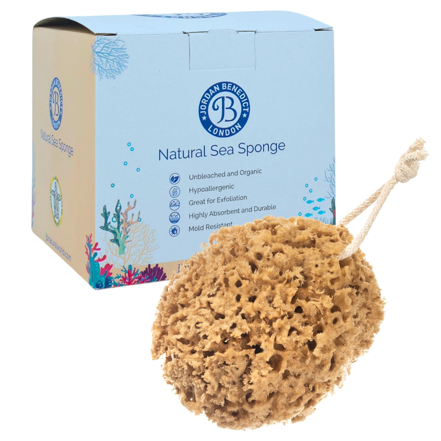 Jordan Benedict Natural Sea Sponge, Unbleached Honeycomb Bath Sponges for Adults, Gently Exfoliating Shower Sponge, Nurturing Organic Bathing Sponge