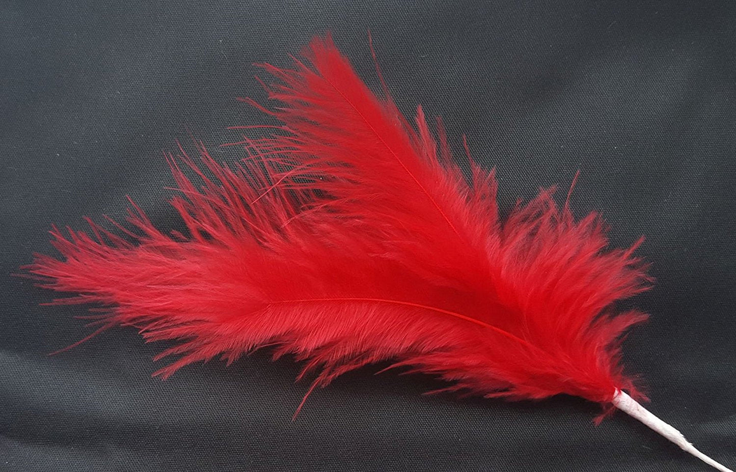 Coloured Feathers Wired 3 per Stem x 6 Stems - Red