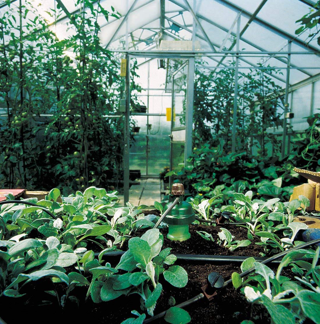 Blumat Medium Box Kit - Automatic Irrigation for Up to 12 Plants