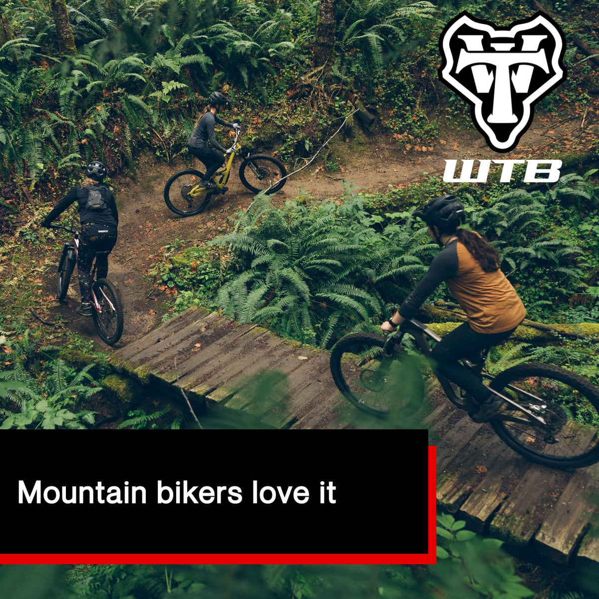 WTB Volt Medium Width Medium Padding Bike Saddle ? Steel Rails | Comfortable Mountain Bike Seat, 142mm Width Bike Seat | Durable, Contoured MTB Seat