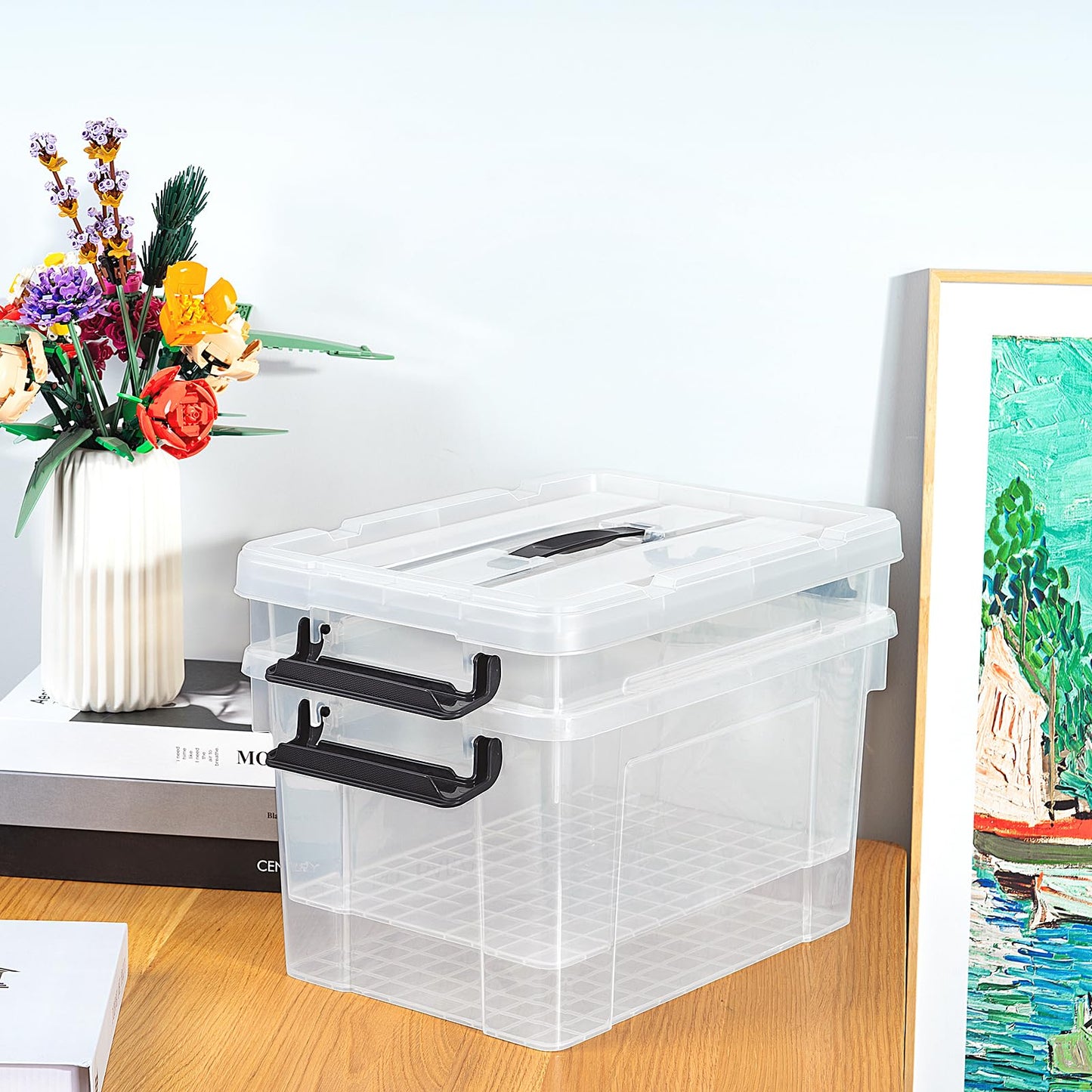 Cetomo 20L*6 Storage Boxes, Carry Plastic Storage Box with Lids, Clear Organizing Container with Handle and Secure Latches