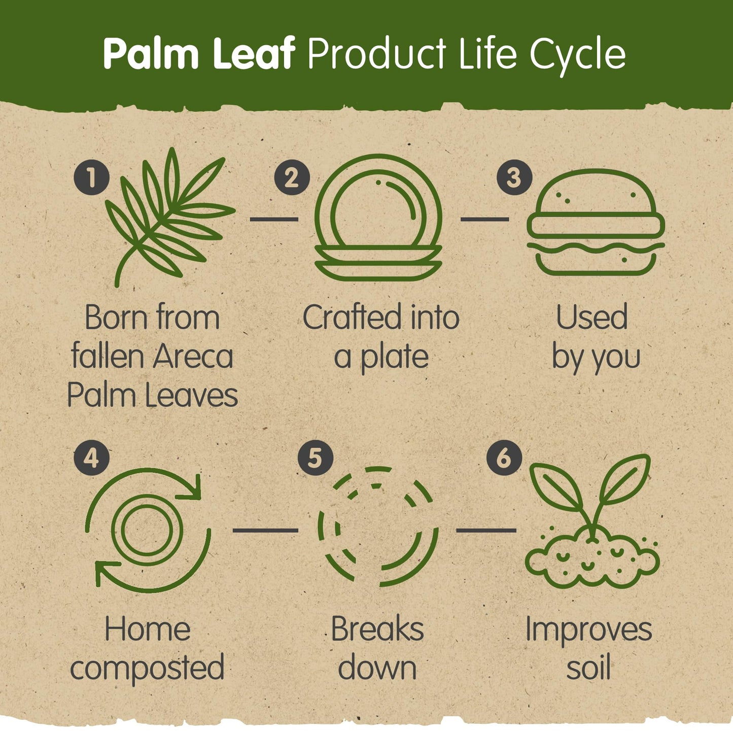 Signature Packaging - Disposable Palm Leaf Plates - 10" and 7" (100 Combo Pack) - Sturdy, Square Party Plates