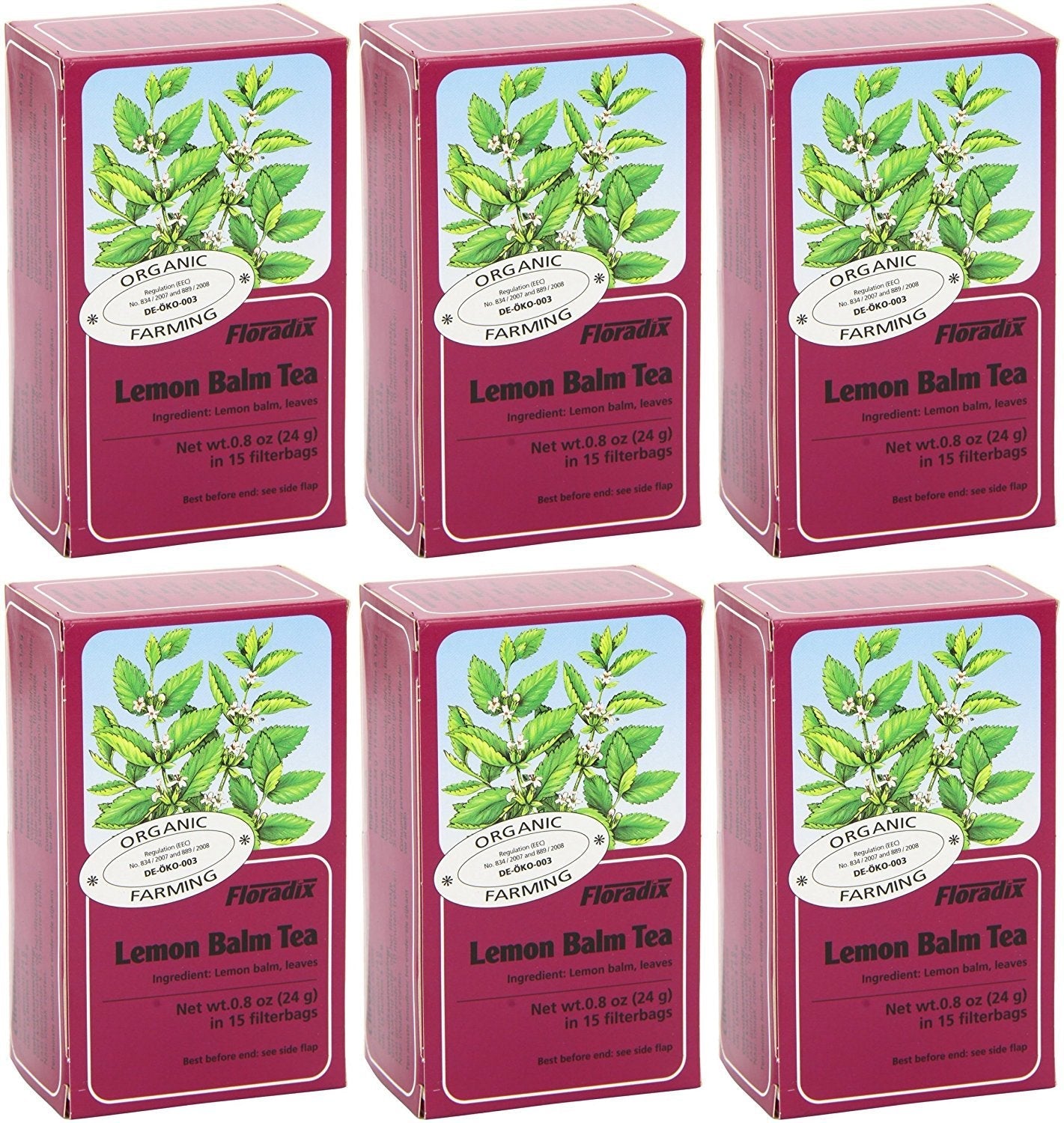 Floradix Lemon Balm Organic Herbal Tea 15 Bag (Pack of 6)