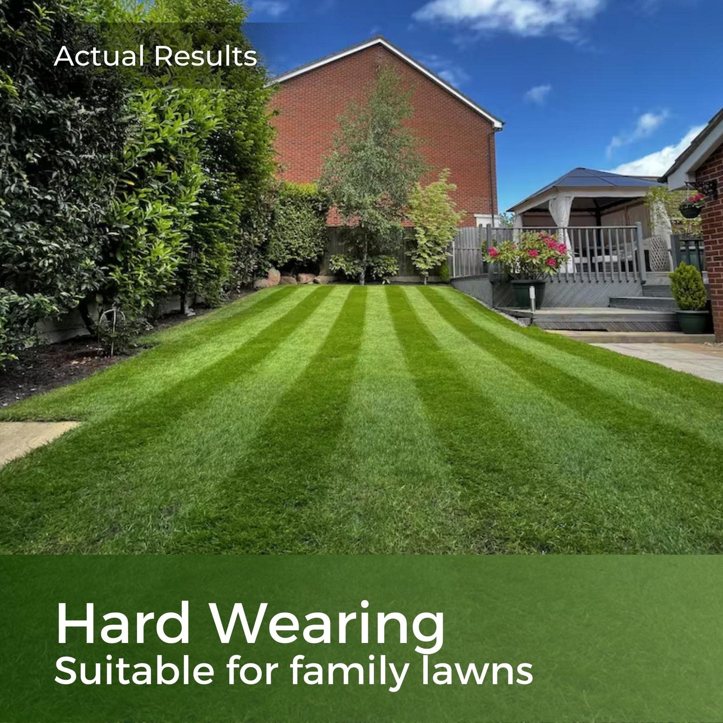 Dark Green Lawn Seed - Grass Seeds for a Green Lawn All Year Round - Hard Wearing & Fast Growing Mix - Garden Lawncare Guy (5kg - 200m?)