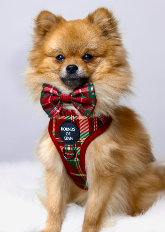 Tartan Me Up - Red & Cream Tartan Design Dog Harness