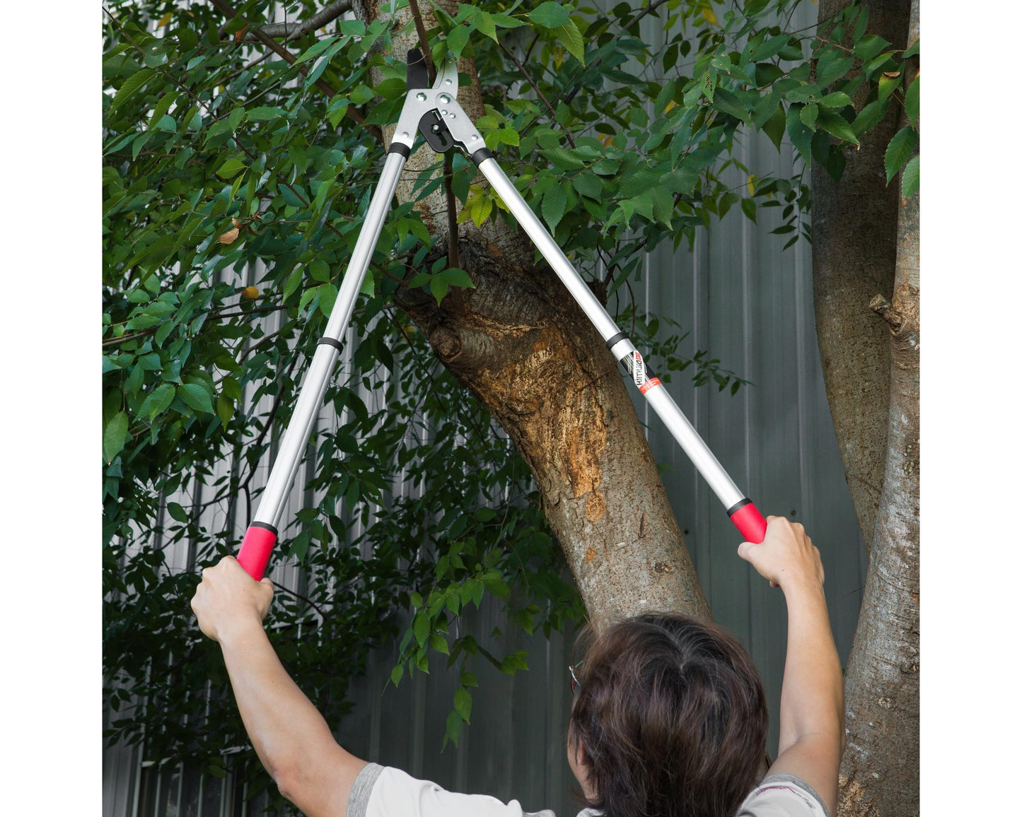 Kimura? Pro Heavy Duty Garden Loppers - Premium Anvil Lopper with Advanced Ratchet Mechanism, Lightweight Telescopic Handles, Japanese SK5 Steel