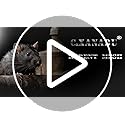 C&Xanadu Rodent Mesh 400mmX6m,Galvanised Wire Mesh Roll,Rat Proof Mesh Sheet,Welded Mesh Panels,Stop & Prevent Mice & Mouse Access