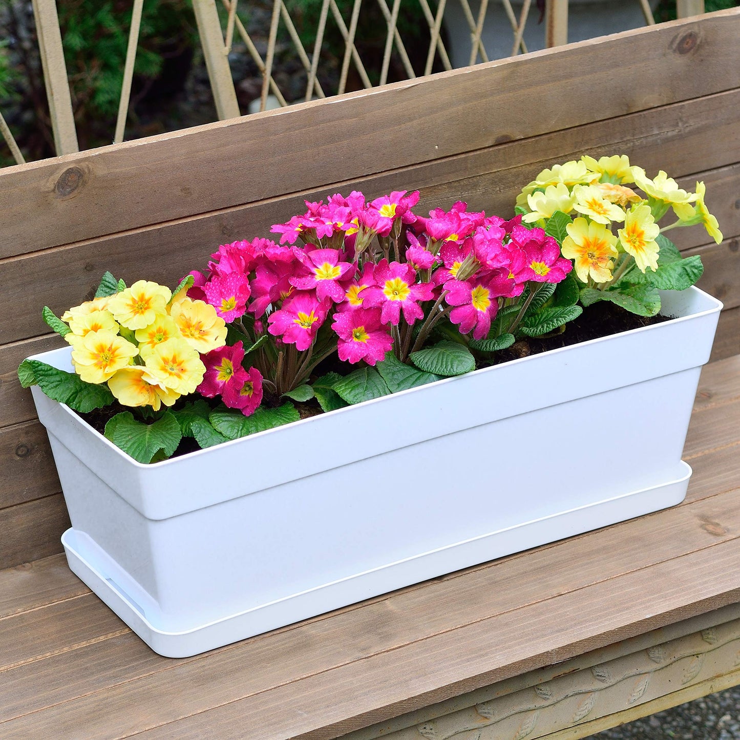 Youngever 3 Pack 38CM Plastic Window Box Planter, Heavy Duty, Flower Box Planter with Attached Tray for Windowsill Garden Balcony, White