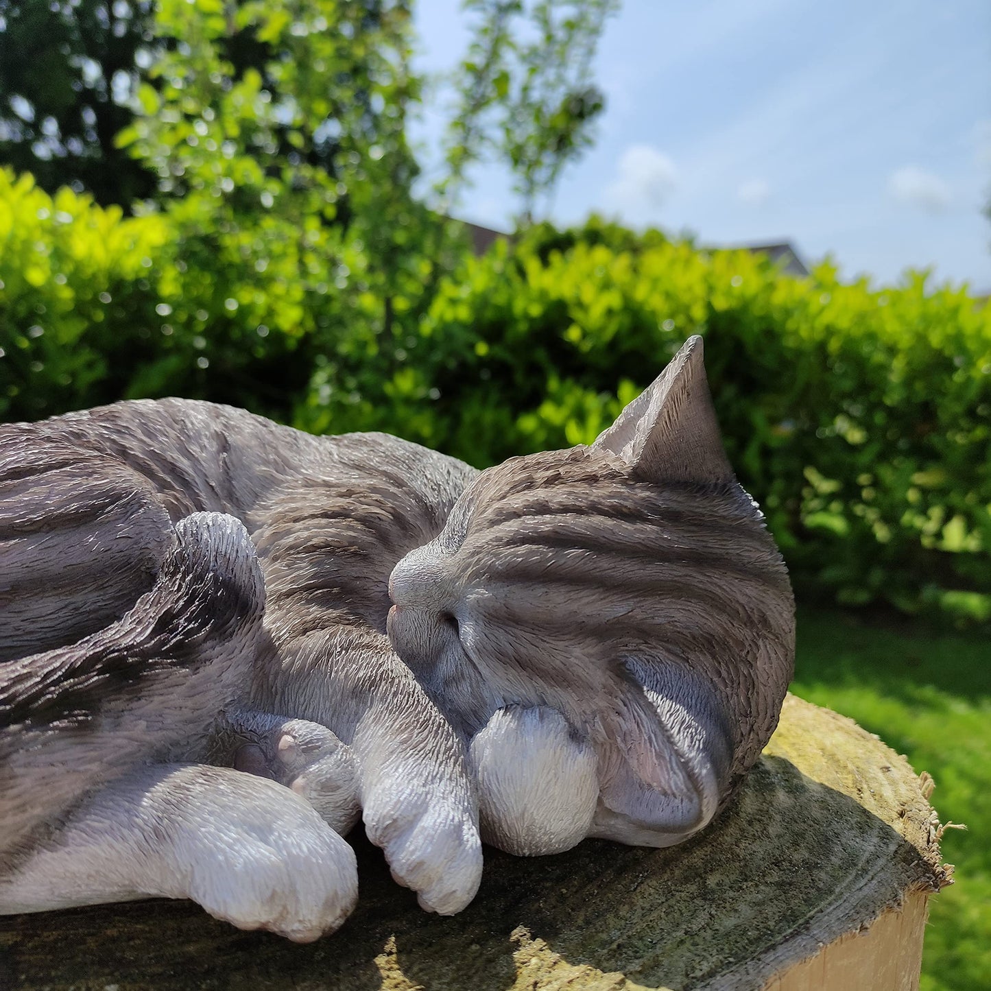 Vivid Arts Tabby Size B Real Life Sleeping Cat