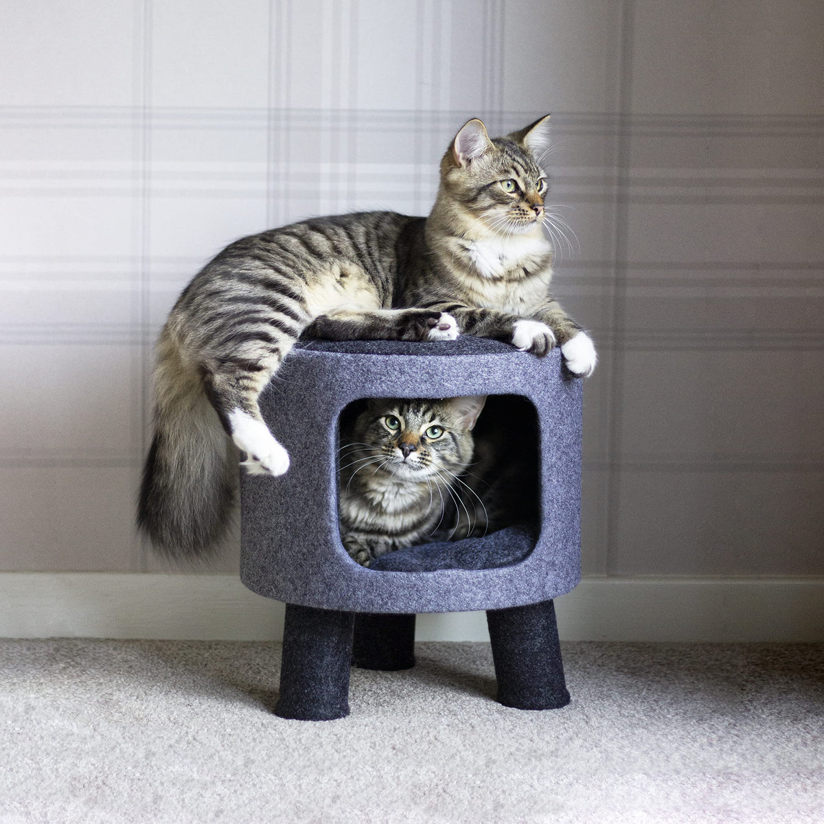 Rosewood Catwalk Charcoal Felt Stool for Cats