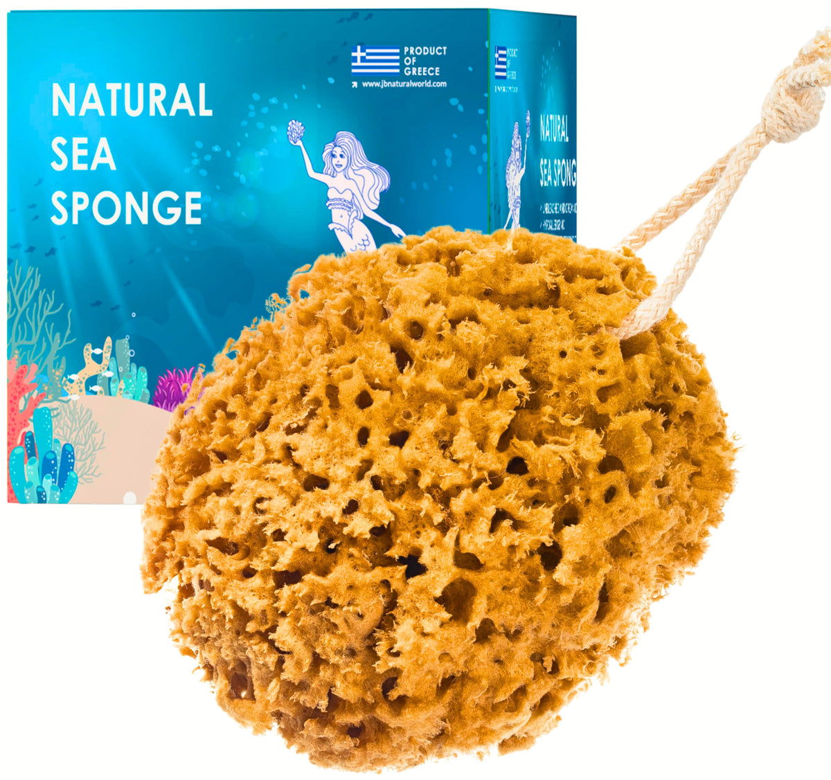 Jordan Benedict Natural Sea Sponge, Unbleached Honeycomb Bath Sponge, Exfoliating Bath Sponges for Adults, Organic Shower Sponges for Women and Men