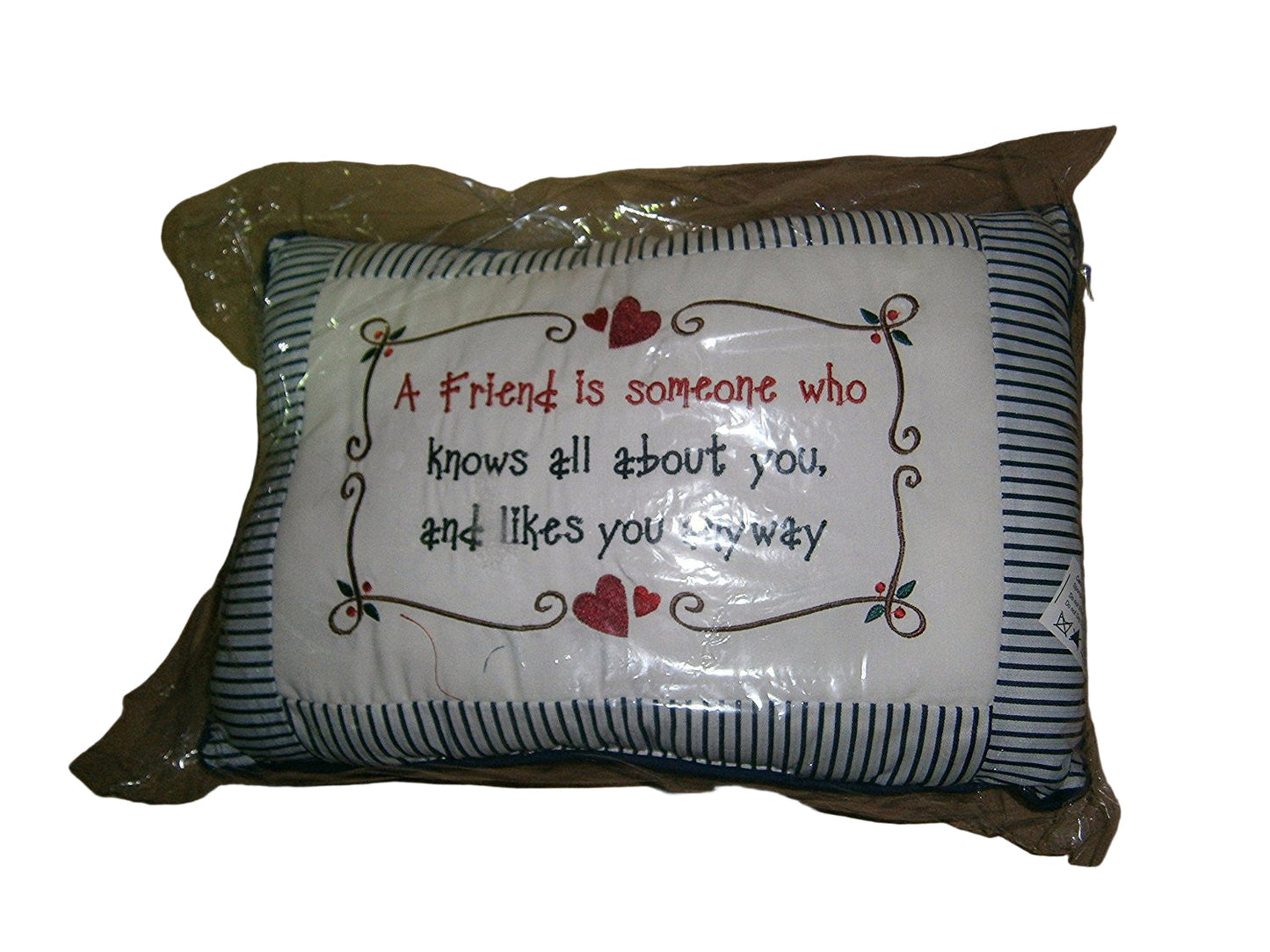 a friend cushion