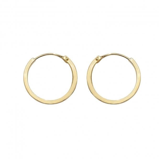 9ct Yellow Gold 10mm Sleepers Earrings ES148