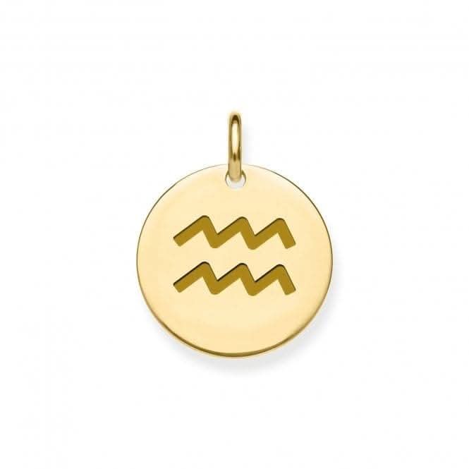 9ct Yellow Gold Aquarius Zodiac Pendant PN1301