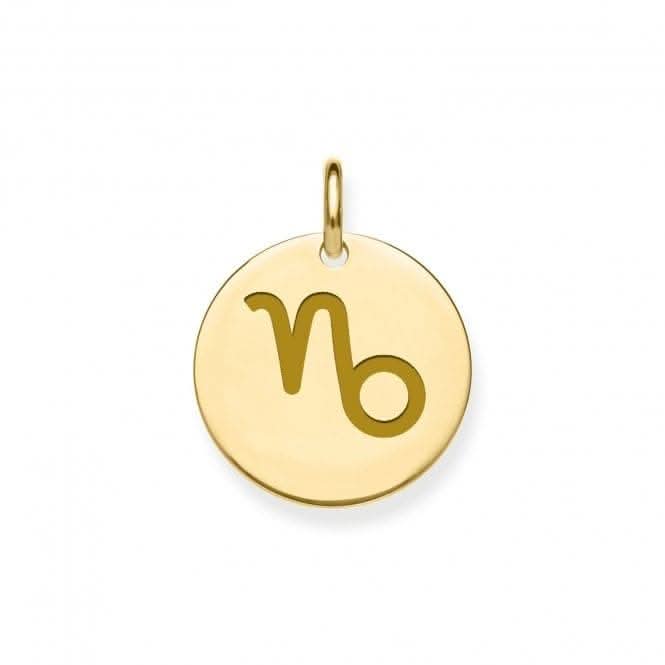 9ct Yellow Gold Capricorn Zodiac Pendant PN1300
