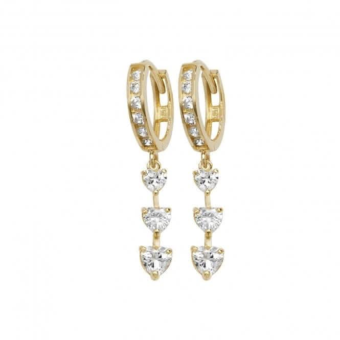 9ct Yellow Gold Drop Earrings ER1112