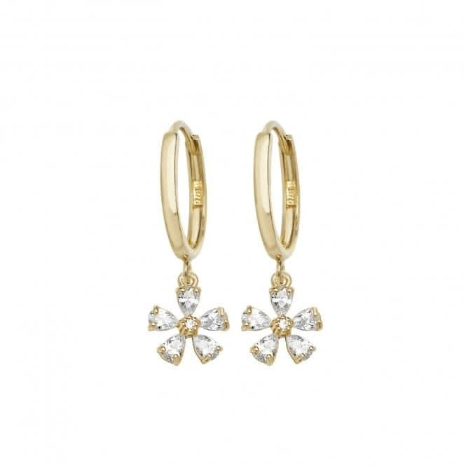 9ct Yellow Gold Drop Earrings ER1114
