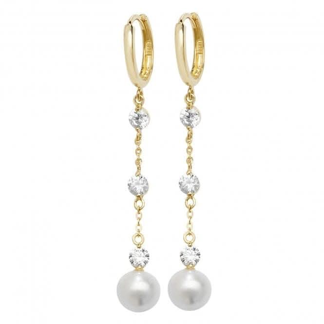 9ct Yellow Gold Drop Earrings ER1139