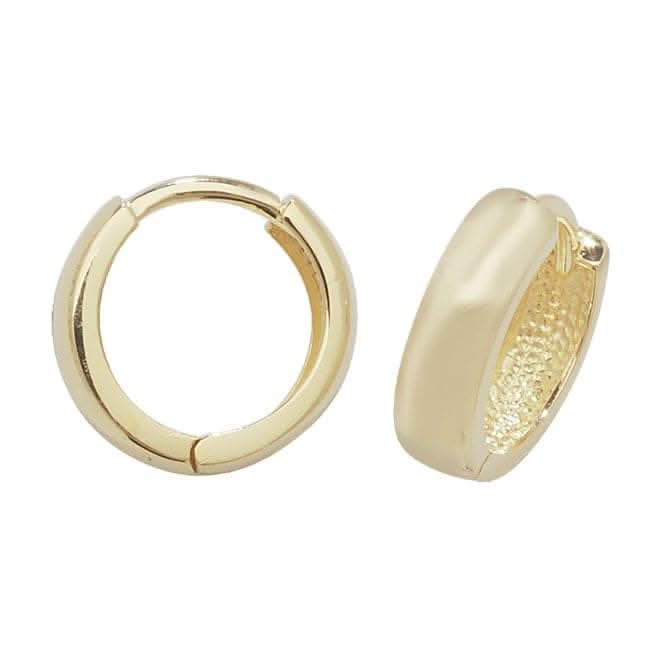 9ct Yellow Gold Hinged Earrings ER107
