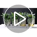 Hollyone 30CM Artificial Succulent Plants, 12" Fake Maguey with Succulents in Gold Ceramic Pot, Decorative Faux Plant Potted Indoor for Home Decor, Living Room, Shelf, Table, Desk, Office Decorations