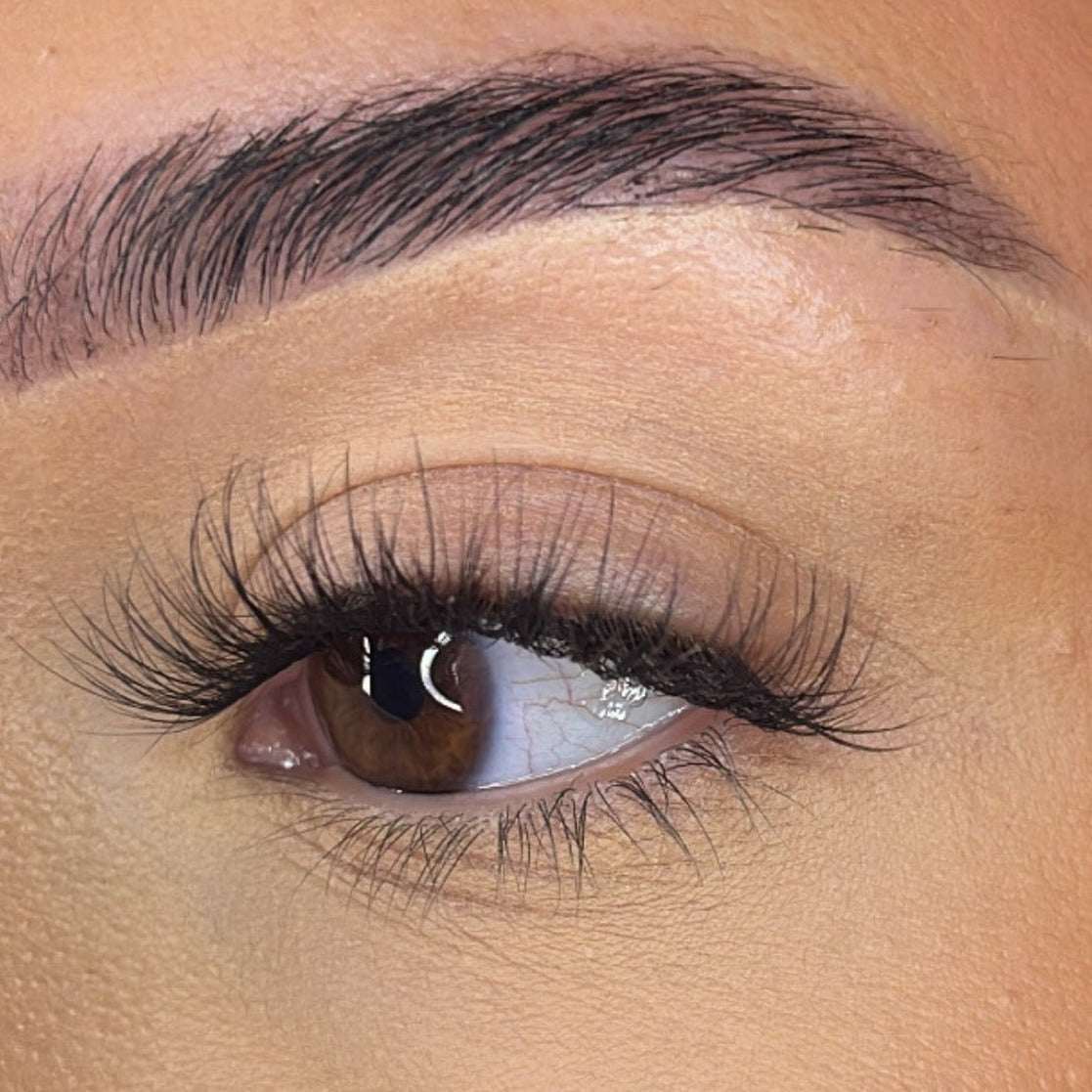 Pre-Glued Lash Clusters - Faff Lash - Mia