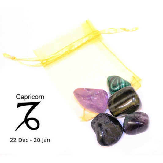 Capricorn - Sign Of The Zodiac Healing Crystal Pack