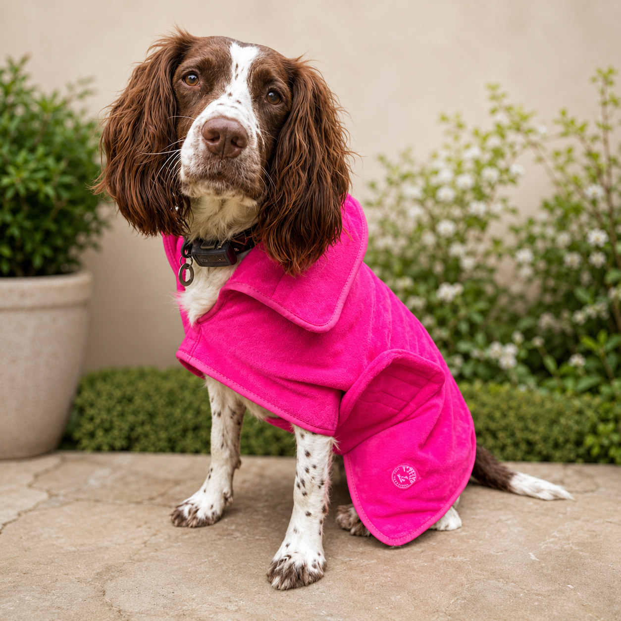 Stellar Luxury Drying Robes for Dogs