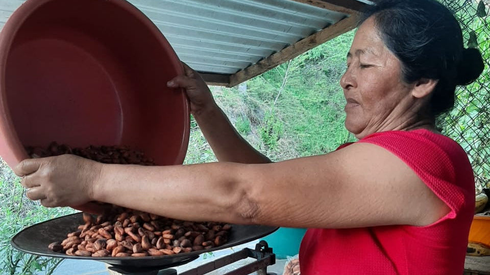 Mexican Lavado Cacao – Medicine Festival 2026