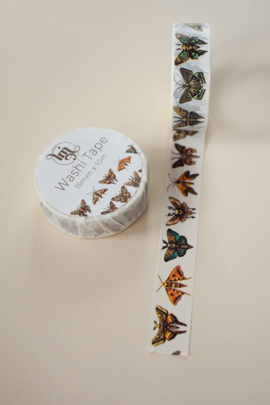 Brown Moth