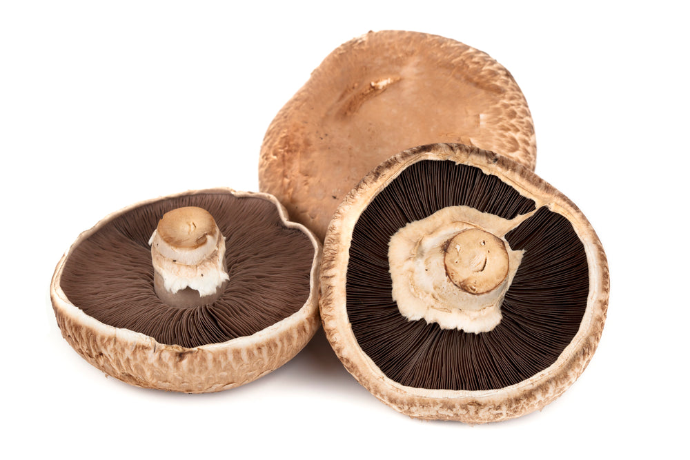 Portobello Mushroom (Twin Pack)